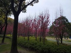 -上海市龙华烈士陵园