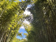 -同里国家湿地公园