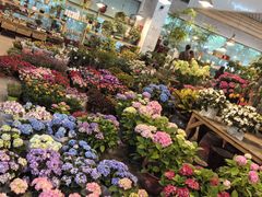 -双季花艺园艺市场(浦东店)