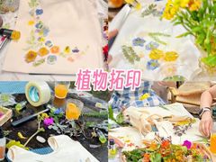 -天适樱花悠乐园