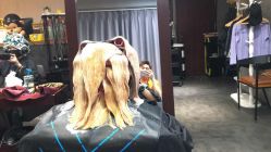 -BM SALON