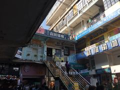 -猫咪博物馆(顶澳仔猫街店)