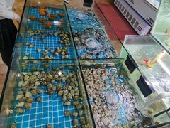-海之鲜大排档(东山海鲜金銮湾店)