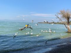 -捞渔河湿地公园