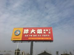-胖大姐黄辣丁鱼庄(新津店)