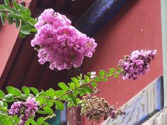 -恭王府博物馆