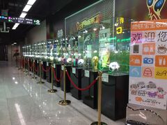 -连城·新天地(福华一路店)