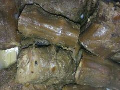 android_upload_pic-张鸭子重庆特产卤味小吃(未来国际店)