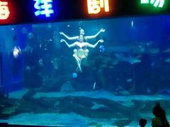 -石林冰雪海洋世界