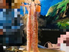 蝴蝶生态乌鱼-土著渔匠·养生蝴蝶鱼(香樟路店)