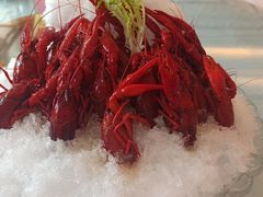 冰镇龙虾-渭塘酒家(生态园店)