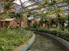 -南宫五洲植物乐园