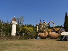 -东平国家森林公园