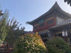 -迎泽公园