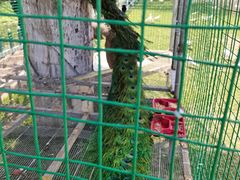 -南通洲际绿博园