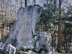 -音乐台