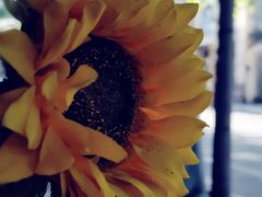 -Golden Lily河内巴黎法越料理餐厅(建国西路店)