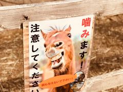 -神户市立六甲山牧场