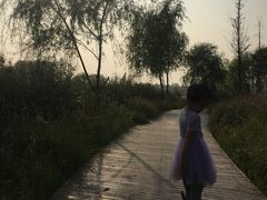 -北京麋鹿生态实验中心