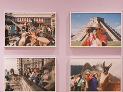 -深圳湾万象城(南山店)