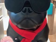 -sundanpulse顺电·脉(海岸城购物中心店)