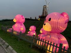 -大塘金香草谷