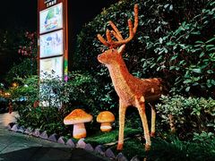 -杭州第一世界大酒店·云曼温泉