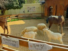 -HERRE·FARM 赫尔露营农场·团建聚会包场