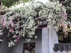 -深圳国际园林花卉博览园