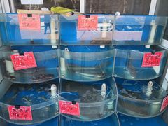 菜单-北戴河庆山饭店·海鲜砂锅粥(北戴河黑石路店)