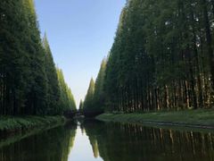 -黄海国家森林公园