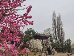 -国家植物园南园