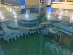 -小海豚国际游泳培训中心(浦东塘桥店)