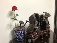 -白家餐厅(徐家汇店)