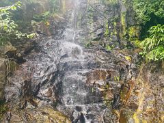 -太平山顶
