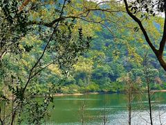 -广州市石门国家森林公园