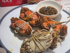 -杨氏青龙虾·吃蟹季(金盛路总店)