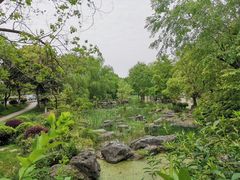 -尚贤河湿地