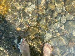 -华冠悠岚·庭院餐厅(青城后山店)