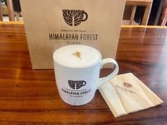 -喜马拉雅森HIMALAYAN FOREST
