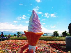 -富田农场