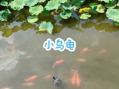 -龙头寺公园