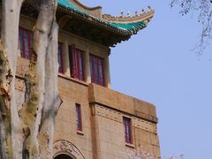 -武汉大学-樱园
