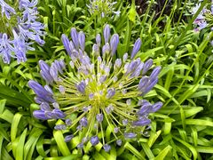 -马哥孛罗咖啡厅·Cafe Marco (厦门马哥孛罗东方大酒店)