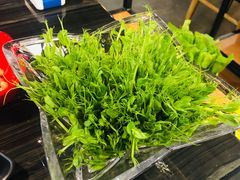 -东椰·海南椰子鸡火锅(朝阳门店)