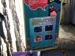 -重庆欢乐海底世界