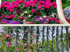 -梅州雁山湖国际花园度假区