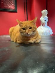 -海王刺青·纹身·穿孔饰品·TATTOO