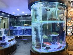 -稻香酒家·33年老字号·港式粤菜(富邦中心店)