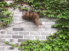 -大渡口区义渡公园